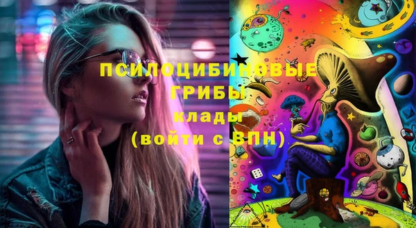 молекула духа Осинники