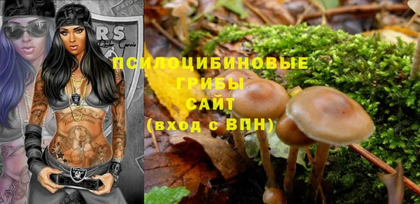 гашик Осташков