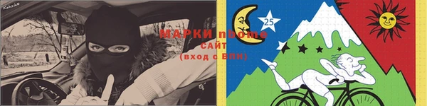 молекула духа Осинники