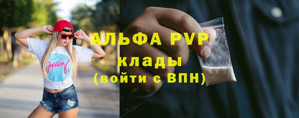 гашик Осташков