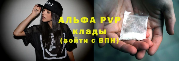 гашик Осташков