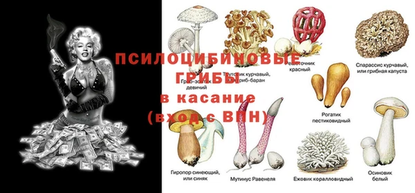 гашик Осташков