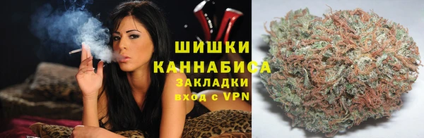молекула духа Осинники