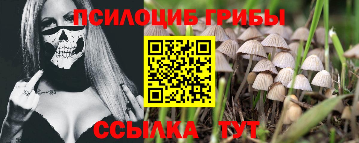 Анапа  Псилоцибиновые грибы мицелий  Вход с VPN 